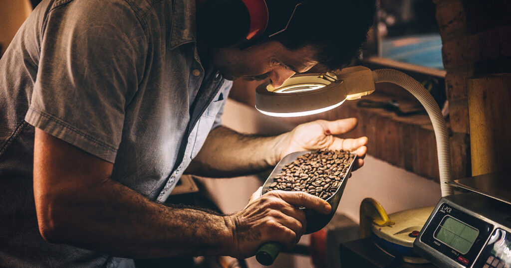 Expert examining coffee beans before roasting