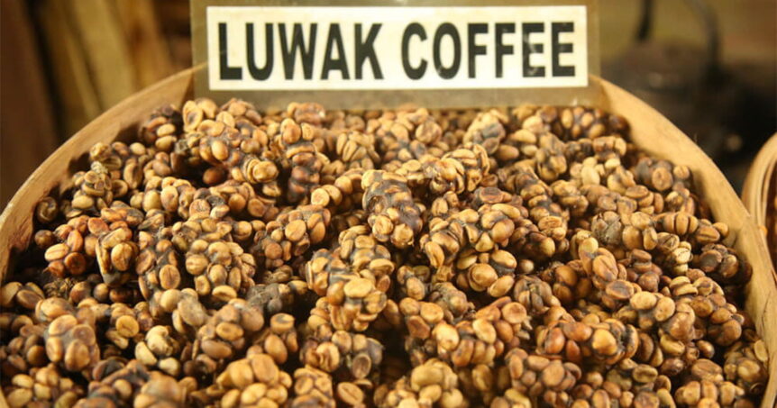 Luwak coffee